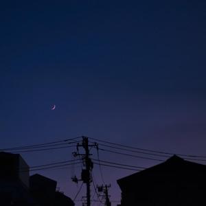 各种场合大胆露出在线看
