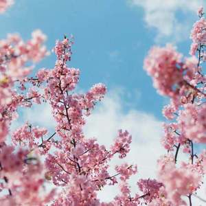 各种场合大胆露出在线看
